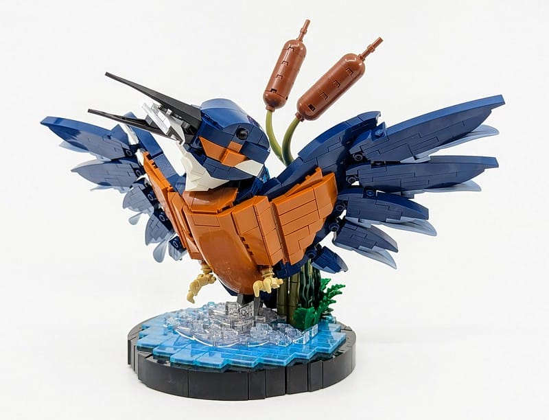 10331:-kingfisher-bird-set-review
