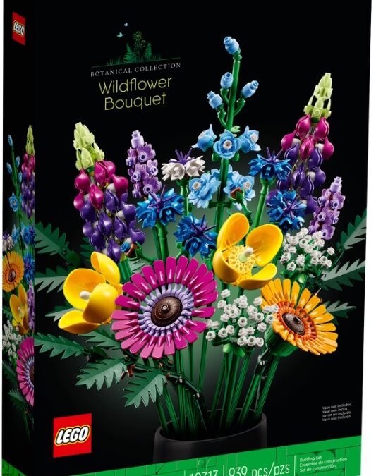 [us]-18+-lego-botanical-wildflower-bouquet-(20%-off)-or-18+-ideas-disney-hocus-pocus-sanderson-sisters’-cottage-(13%-off)