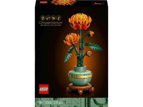 LEGO Botanical Collection Summer 2024 Sets Revealed - Bricks RSS