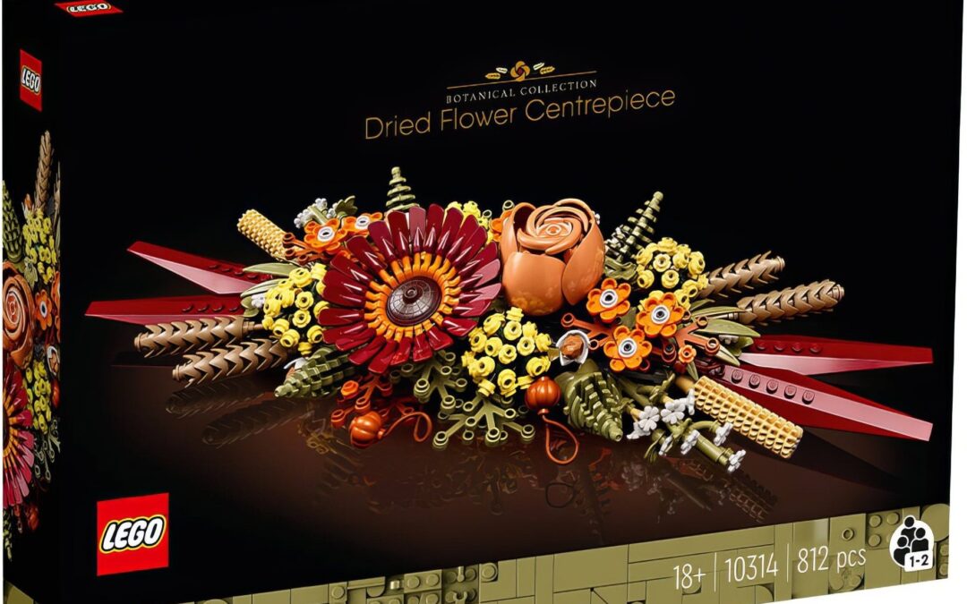 LEGO Botanical Collection Dried Flower Centerpiece (10314) Amazon Sale – October 2024