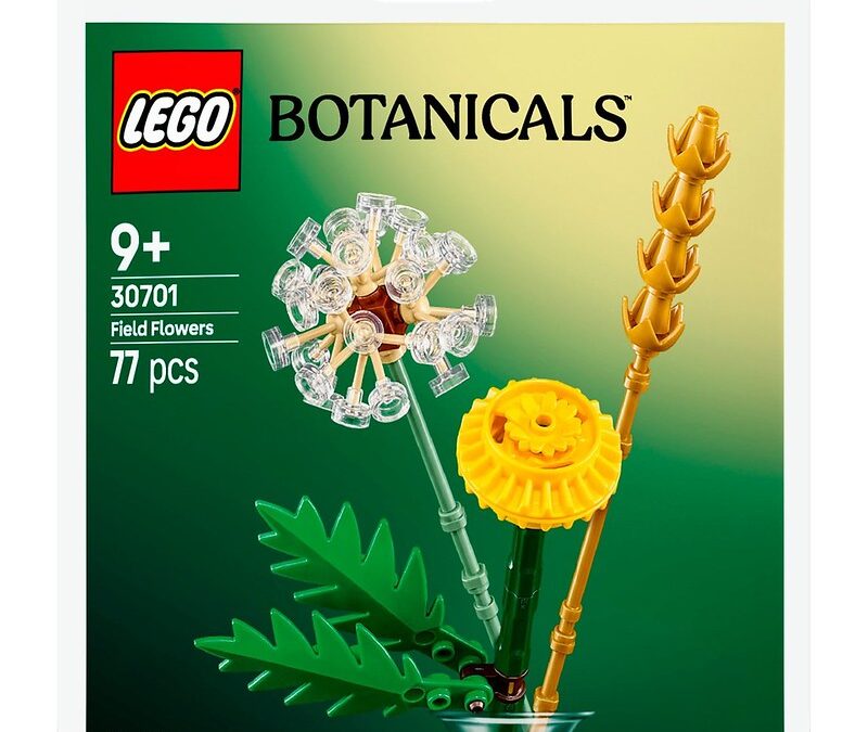 LEGO 2025 Polybags Revealed